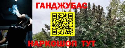 сатива Бузулук