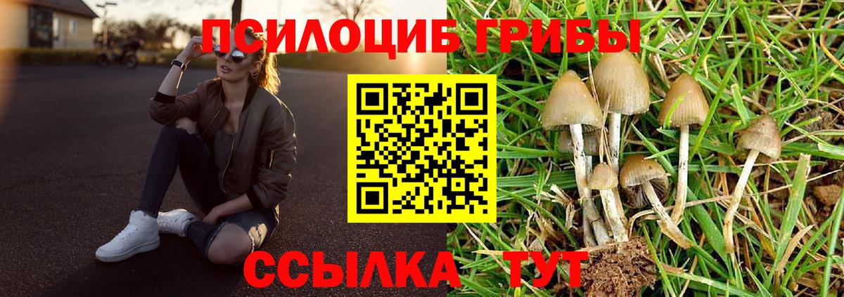 Псилоцибиновые грибы мухоморы Котлас